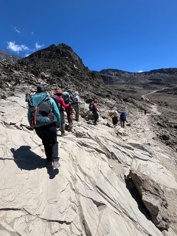 Trekking the Kilimanjaro trails
