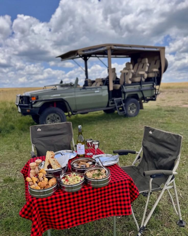 Bush picnic
