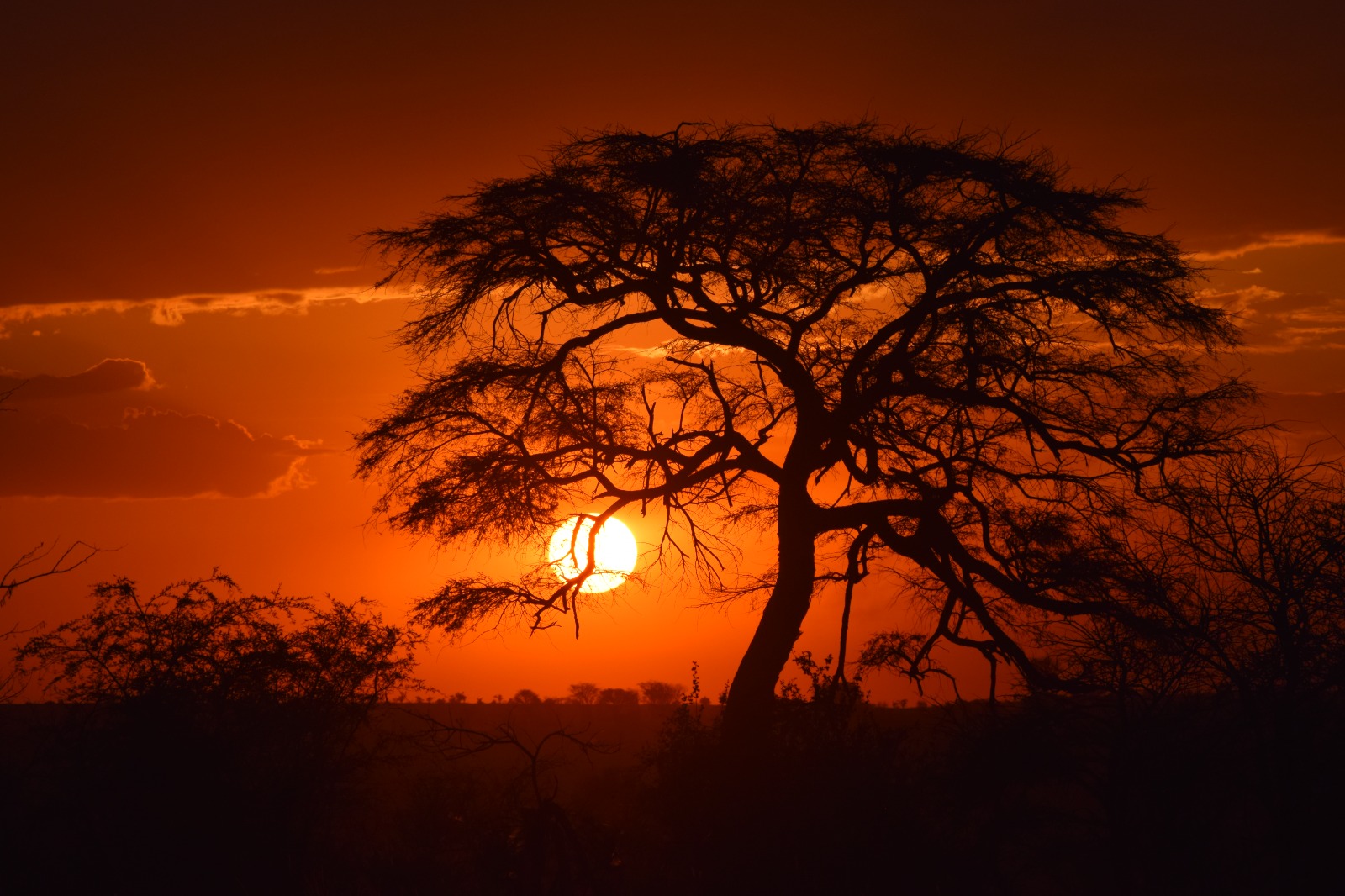 African Sunset