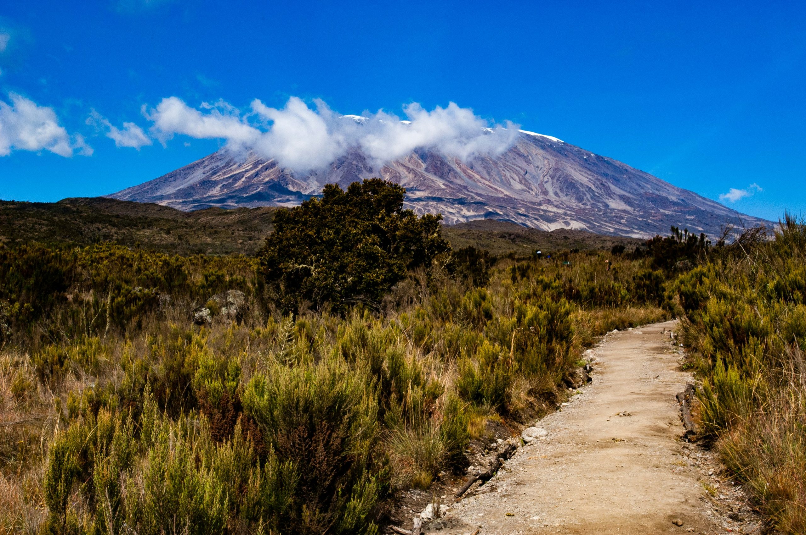 Mount Kilimanjaro